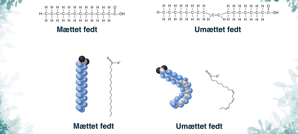 Illustrationer af mættet og umættet fedts kemiske struktur